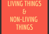 Living and non-living things