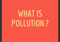 What is pollution